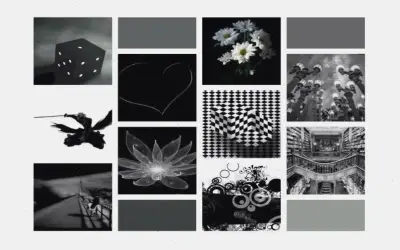 Avatar Đen Trắng Aesthetic Độc Lạ, Hấp Dẫn Nhấn Ngay!