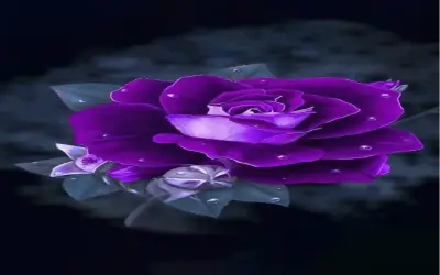 Khám Phá Avatar Hoa 3D Độc Lạ, Hấp Dẫn Và Thú Vị!