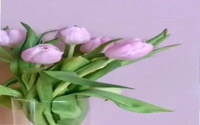 Sở Hữu Avatar Hoa Aesthetic Độc Nhất Và Hấp Dẫn!