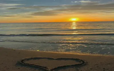 Khám Phá Avatar Hoàng Hôn Đẹp, Độc Nhất, Hấp Dẫn Và Thôi Thúc Nhấp Chuột.