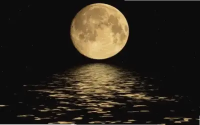 Khám Phá Avatar Mặt Trăng Anime Độc Đáo, Hấp Dẫn Ngay!