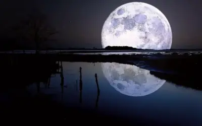 Khám Phá Avatar Mặt Trăng Đẹp, Độc Nhất Hấp Dẫn!