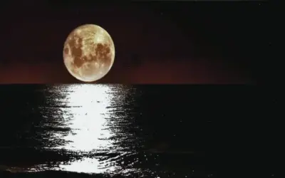 Mời Bạn Khám Phá Avatar Mặt Trăng Huyền Bí Độc Đáo!