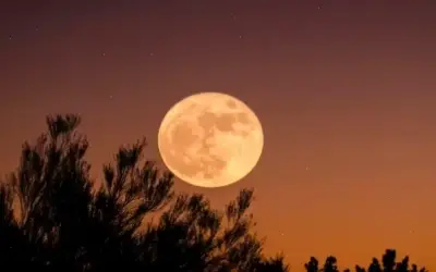 Khám Phá Avatar Mặt Trăng Lãng Mạn Độc Đáo! Hấp Dẫn Và Thôi Thúc.