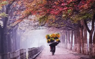 Avatar Mùa Thu Đẹp, Độc Nhất Hấp Dẫn, Thôi Thúc Nhấp.