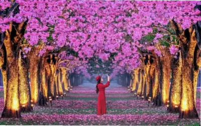 Khám Phá Avatar Mùa Thu Phong Cảnh Độc Đáo, Hấp Dẫn!