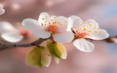 Khám Phá Avatar Mùa Xuân: Bí Mật Và Lợi Ích Không Thể Bỏ Lỡ