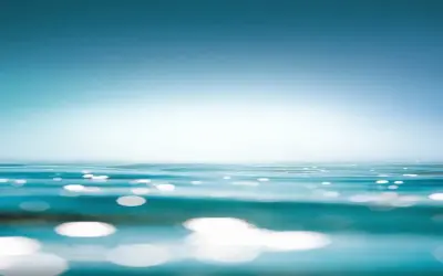 Hãy Khám Phá Avatar Nước Biển Kỳ Diệu Và Bí Ẩn Ngay!