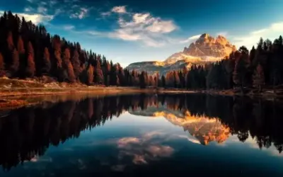 Khám Phá Avatar Phong Cảnh Rừng Độc Đáo Hấp Dẫn!