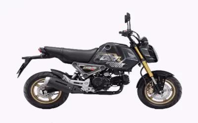 Khám Phá Honda MSX125: Xe Máy Lý Tưởng Cho Người Đi Làm Trẻ