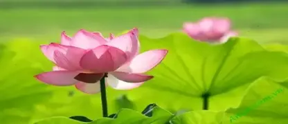 Bài viết liên quan