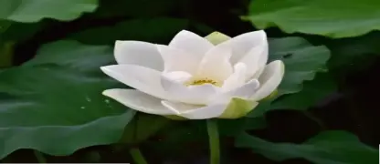 Bài viết liên quan