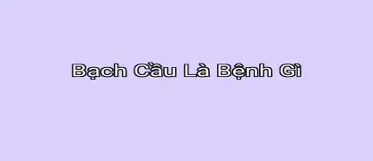 Bài viết liên quan