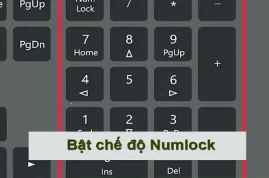 Tại Sao Laptop Không Viết Được Dấu Tiếng Việt? Khắc Phục Ngay!