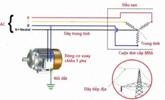 Tại sao Phải Nối Đất Trung Tính Máy Biến Áp: Bí Quyết An Toàn?