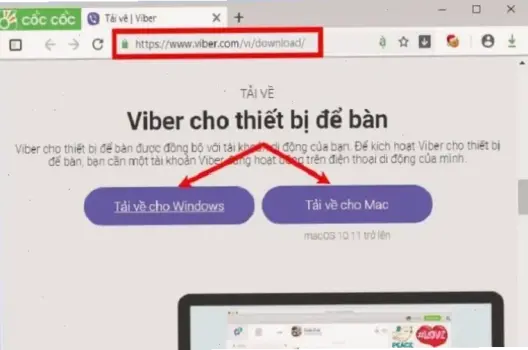 Cách Tải Viber Cho Laptop Dễ Dàng: Hướng Dẫn Từ A Đến Z