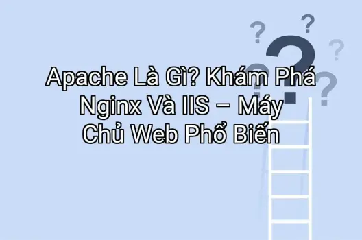 Apache Là Gì? Khám Phá Nginx Và IIS – Máy Chủ Web Phổ Biến