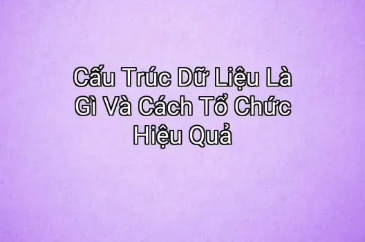 Cấu Trúc Dữ Liệu Là Gì Và Cách Tổ Chức Hiệu Quả