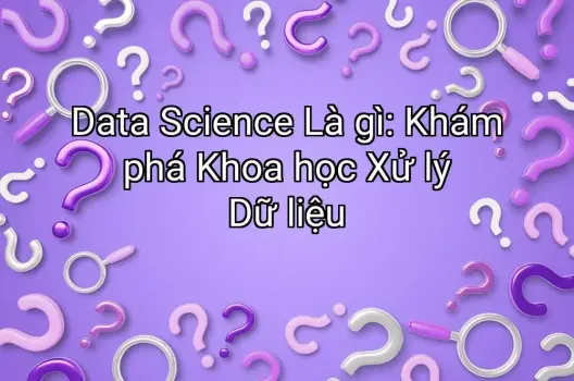 Data Science Là gì: Khám phá Khoa học Xử lý Dữ liệu
