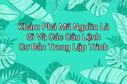 Khám Phá Mã Nguồn Là Gì Và Các Câu Lệnh Cơ Bản Trong Lập Trình
