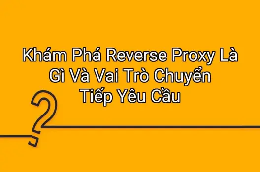 Khám Phá Reverse Proxy Là Gì Và Vai Trò Chuyển Tiếp Yêu Cầu