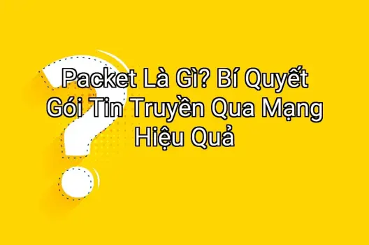 Packet Là Gì? Bí Quyết Gói Tin Truyền Qua Mạng Hiệu Quả
