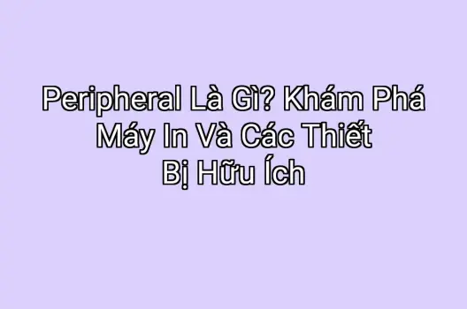 Peripheral Là Gì? Khám Phá Máy In Và Các Thiết Bị Hữu Ích