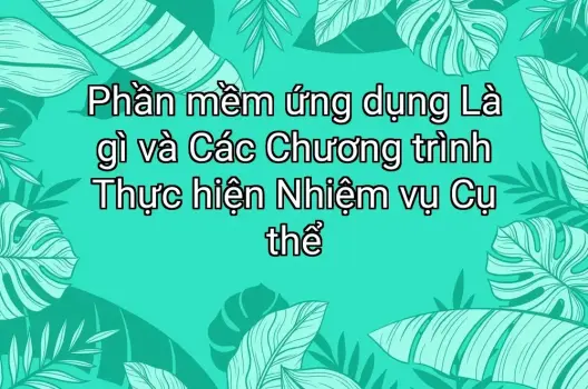 Phần mềm ứng dụng Là gì và Các Chương trình Thực hiện Nhiệm vụ Cụ thể
