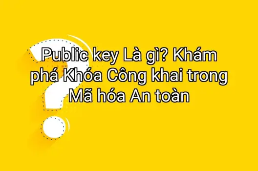 Public key Là gì? Khám phá Khóa Công khai trong Mã hóa An toàn
