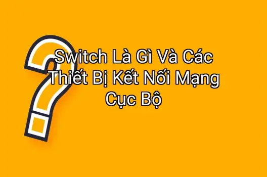 Switch Là Gì Và Các Thiết Bị Kết Nối Mạng Cục Bộ