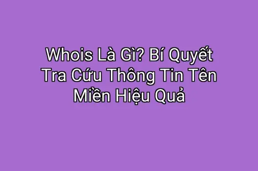 Whois Là Gì? Bí Quyết Tra Cứu Thông Tin Tên Miền Hiệu Quả