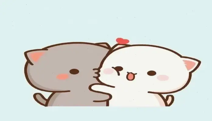 Khám Phá Avatar Cặp Mèo Hấp Dẫn Và Độc Đáo Ngay!