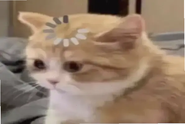 Khám phá Avatar Mèo Vô Tri Ngầu – Độc nhất, Hấp dẫn và Thôi thúc nhấp chuột!