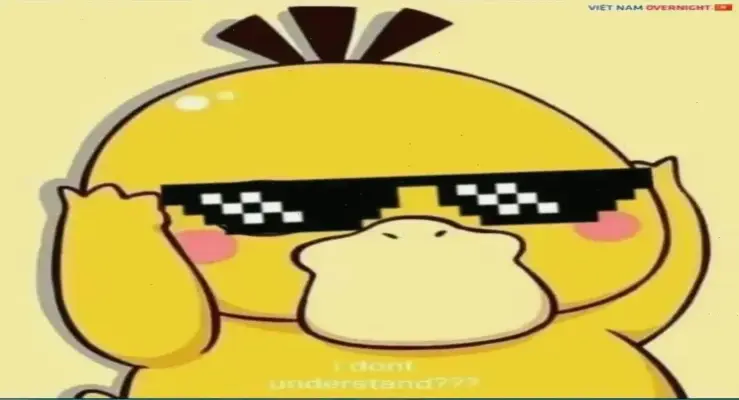 Khám Phá Avatar Vịt Hoạt Hình Đáng Yêu Và Sáng Tạo