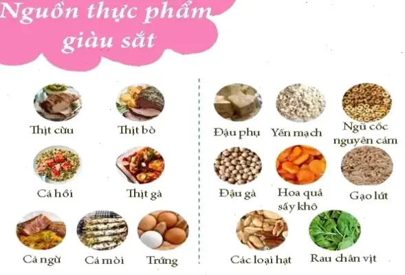 Khám Phá 10 Thực Phẩm Giàu Sắt Để Tăng Sức Khỏe Ngay!