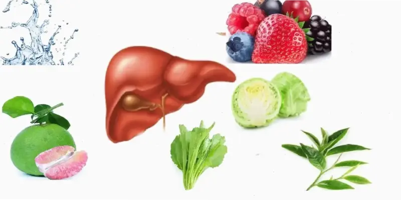 Top 10 Thực phẩm Tốt cho Gan Trẻ Em – Khám phá Ngay!