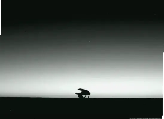 Hình Nền Điện Thoại Tâm Trạng: Độc Đáo, Hấp Dẫn, Thôi Thúc Nhấp Chuột!