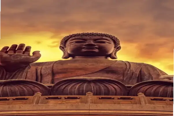 Khám Phá Ảnh Phật A Di Đà Trong Rừng Đầy Yên Bình Và Tâm Linh