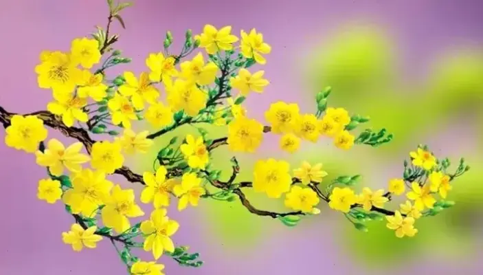 Hoa Mai Trang Trí: Bí Quyết Làm Mới Không Gian Sống Ấm Áp