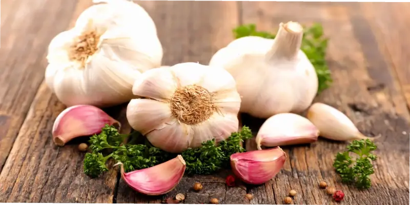 Top 5 thực phẩm tăng cường hệ miễn dịch cho người già!