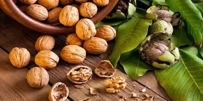 Khám phá thực phẩm tốt nhất cho hệ tuần hoàn người già ngay!