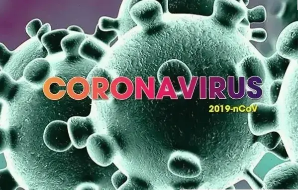 Top thực phẩm hỗ trợ bệnh phổi mãn tính: Khám phá ngay!