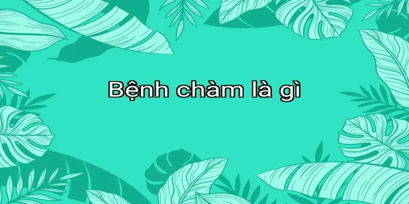 Bệnh chàm là gì