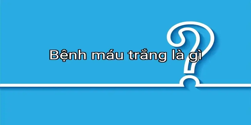 Bệnh máu trắng là gì