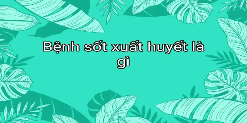 Bệnh sốt xuất huyết là gì