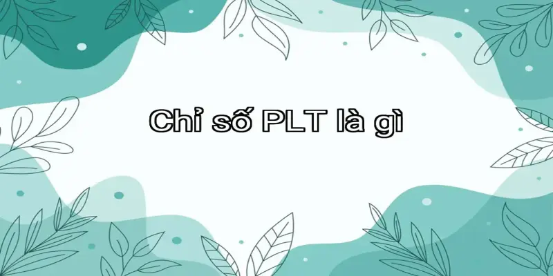 Chỉ số PLT là gì