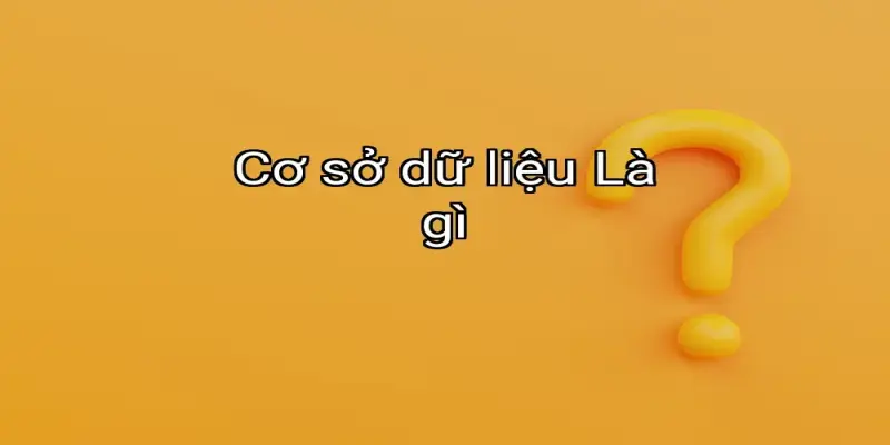 Cơ sở dữ liệu Là gì