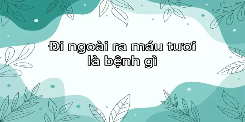 Đi ngoài ra máu tươi là bệnh gì