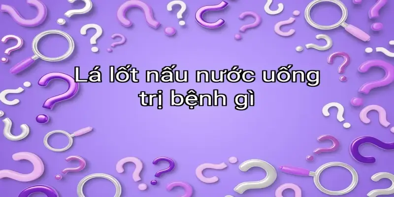 Lá lốt nấu nước uống trị bệnh gì