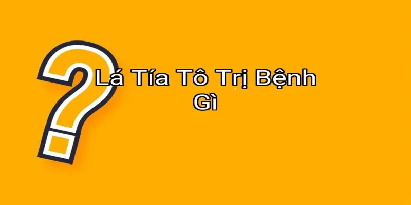 Lá Tía Tô Trị Bệnh Gì